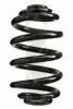 SPIDAN 85548 Coil Spring